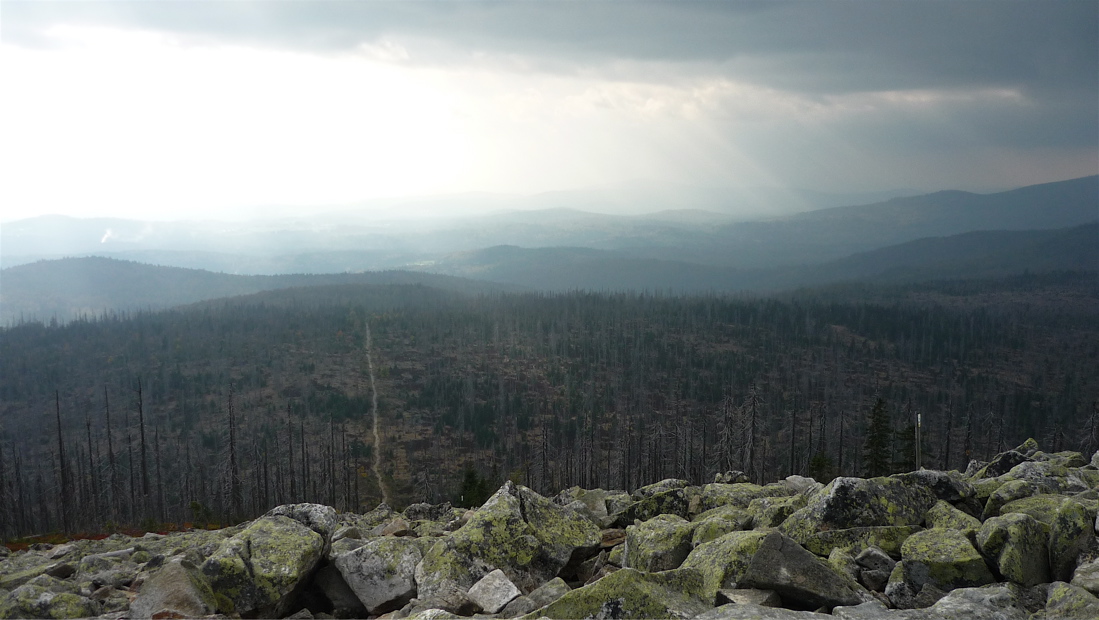 sumava6