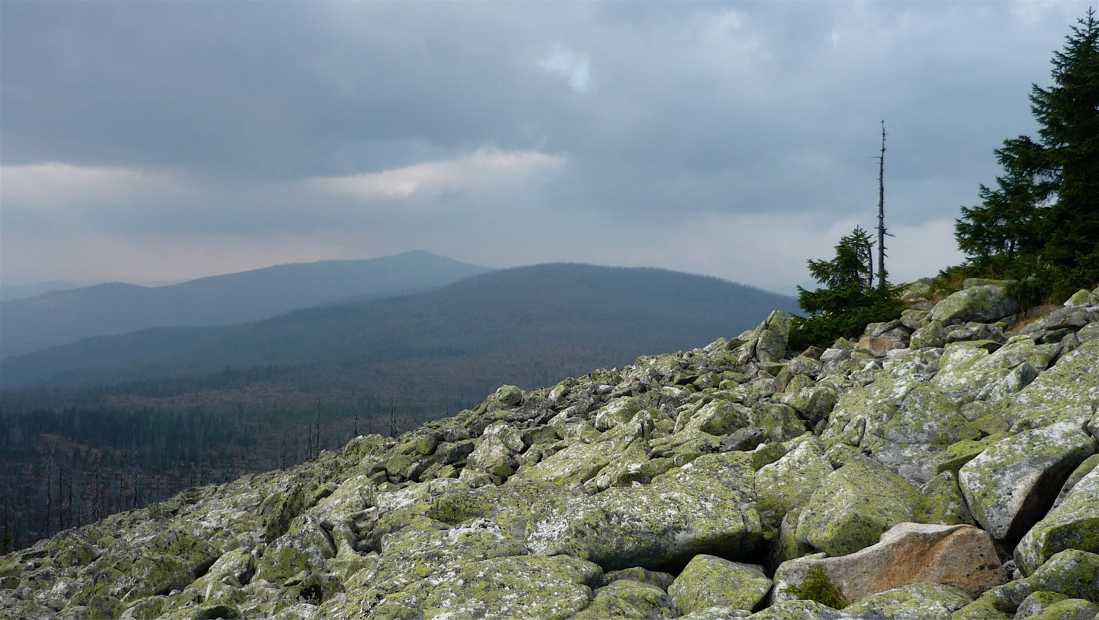sumava8