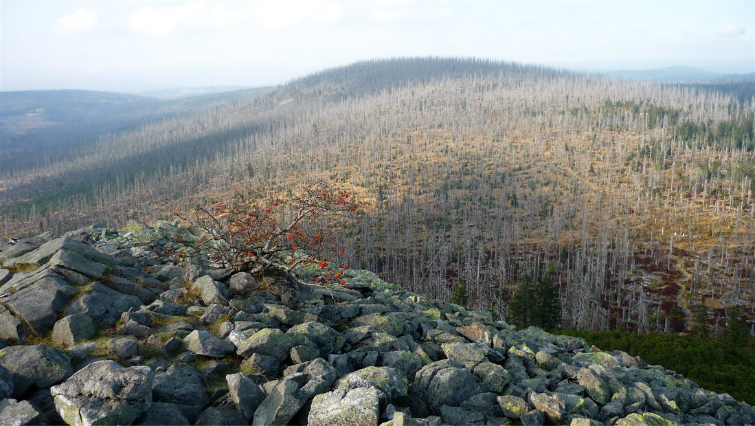 sumava9
