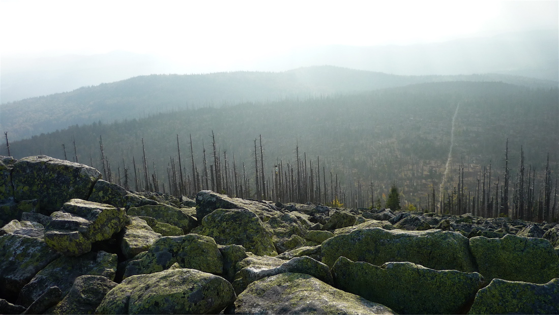 sumava10