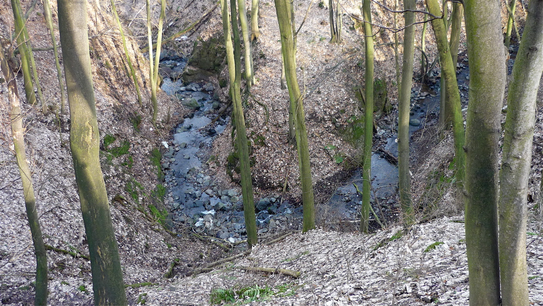 Meandr podlešínského potoka. Za chvíli to začne...