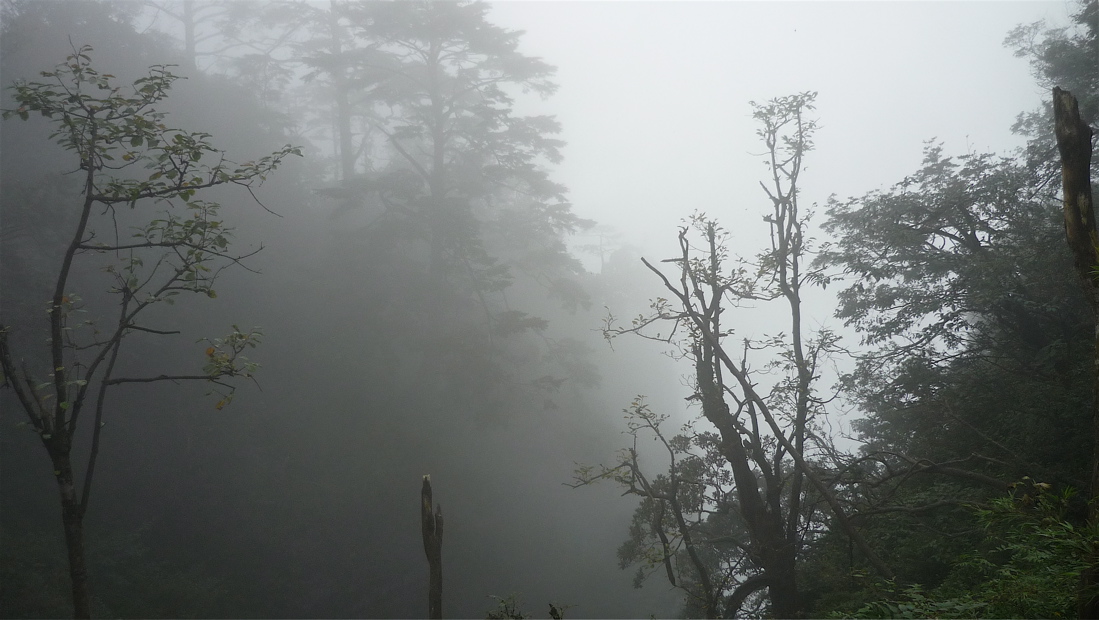 emei118