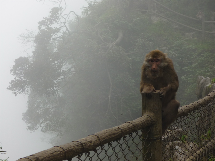 emei5