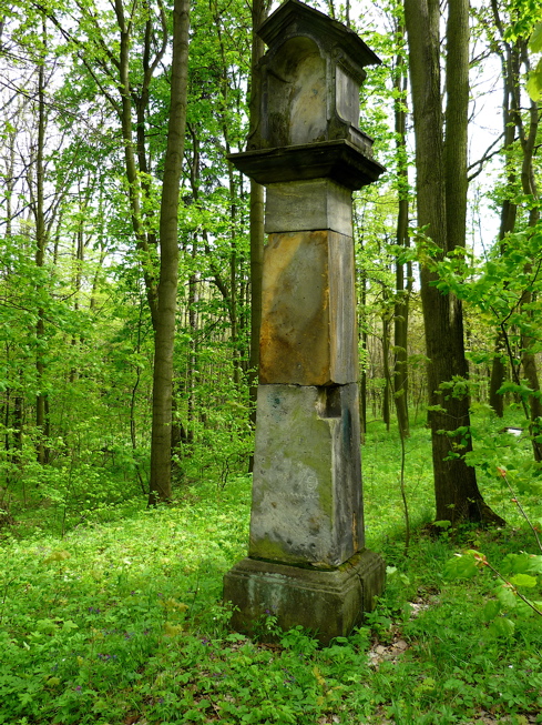 Pálečská cesta podél západního okraje rezervace Březina.