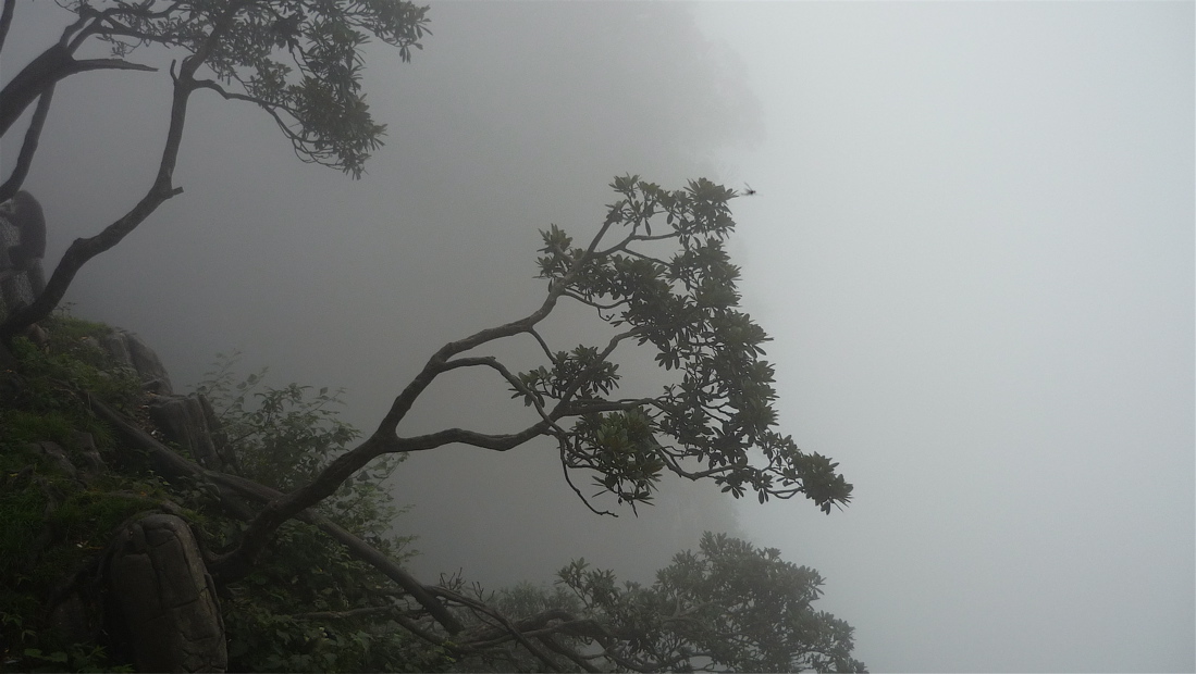 emei6