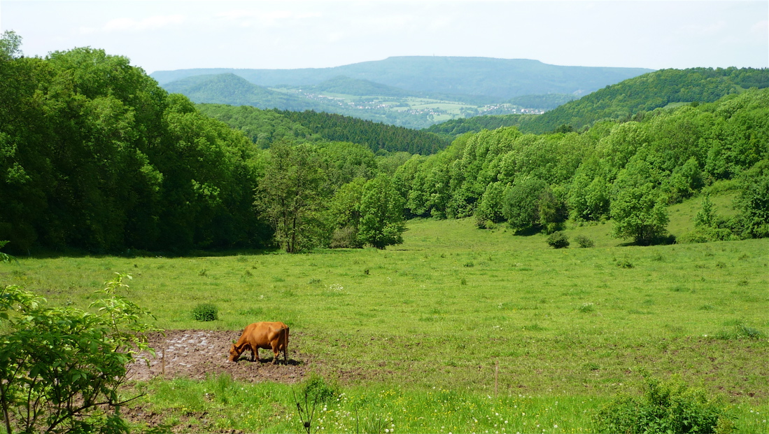 Na opačné straně na obzoru Děčínský Sněžník, blíže Chmelník a Lotharův vrch.