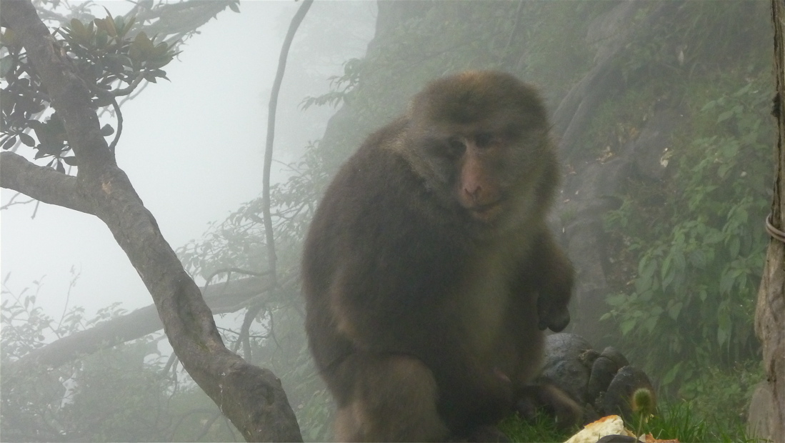 emei4