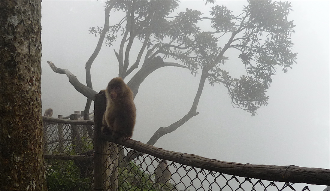 emei7