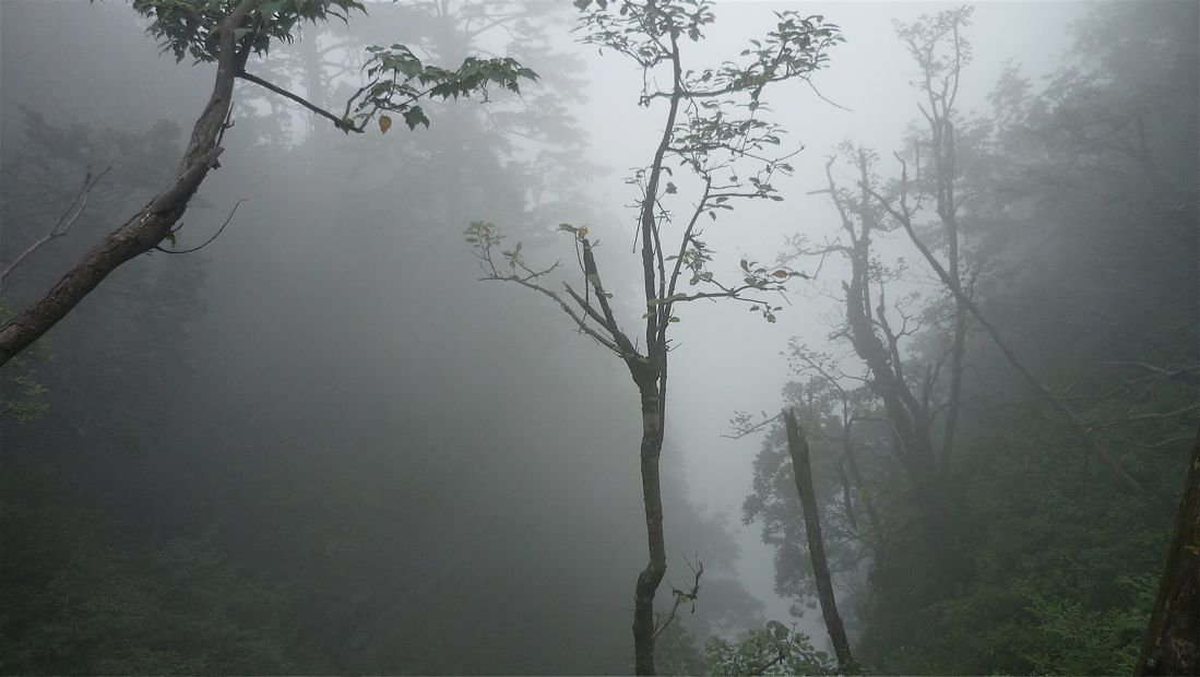 emei11
