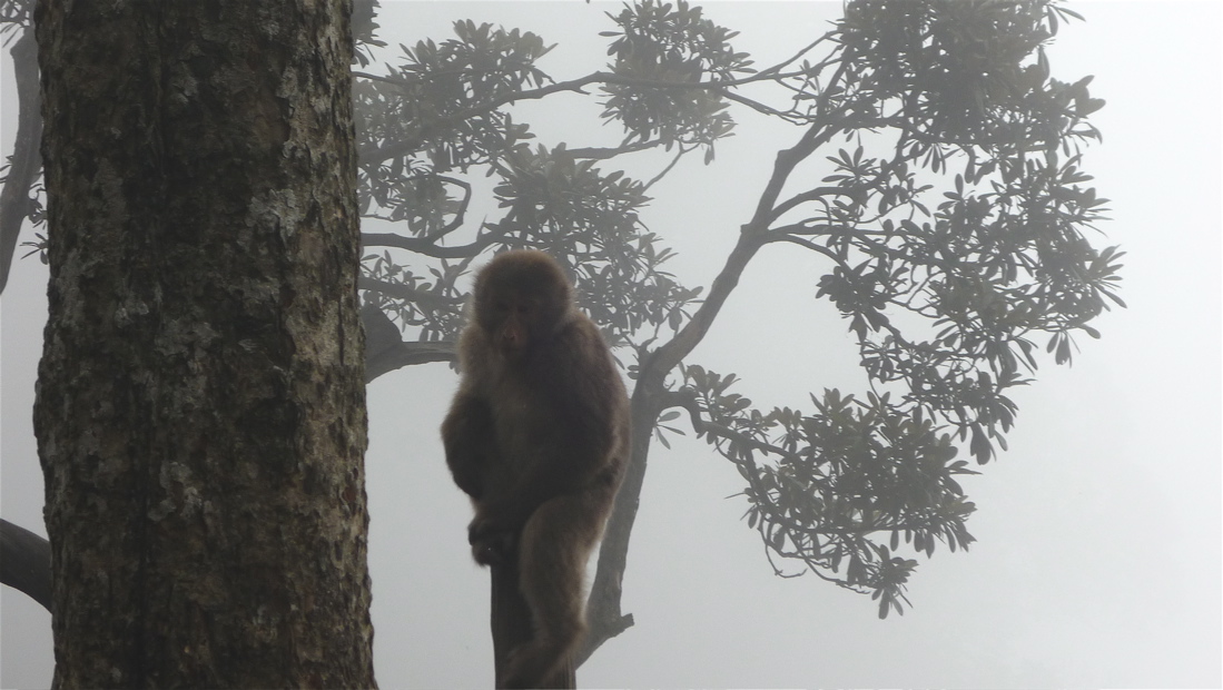 emei8