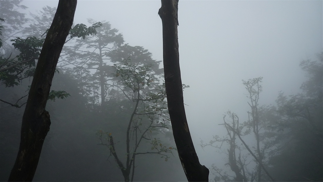 emei12