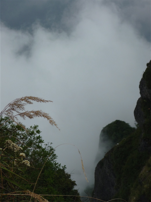 emei50