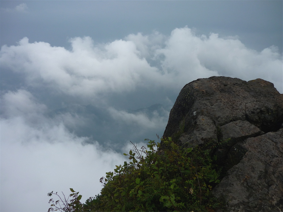 emei48