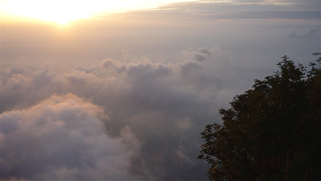 emei75