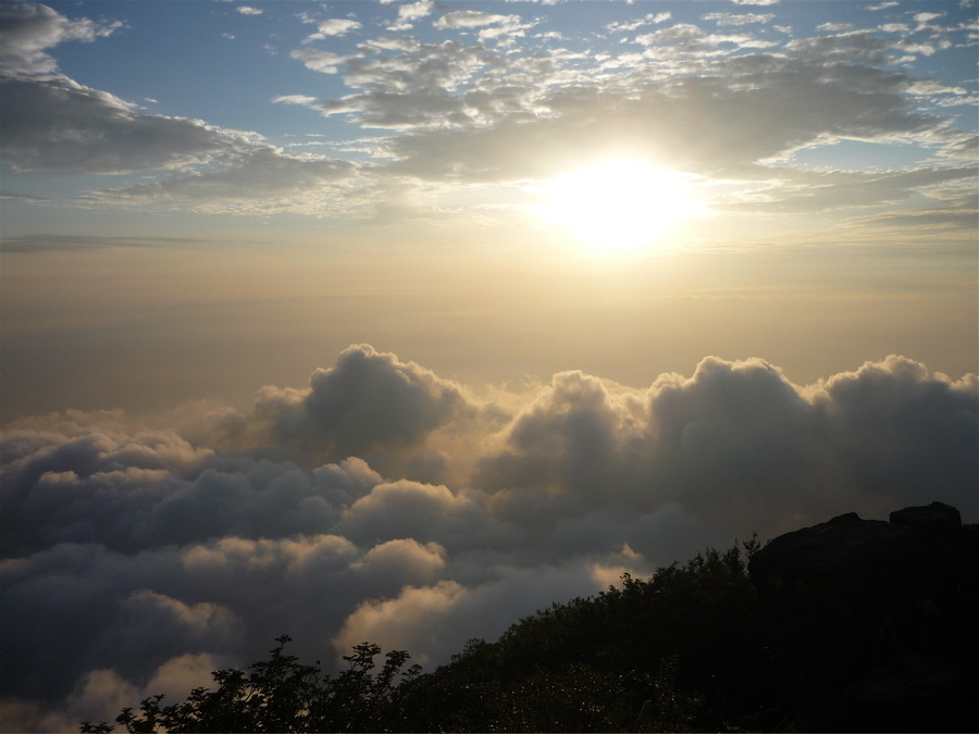 emei84