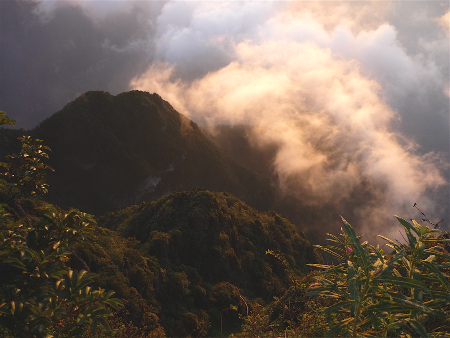 emei76