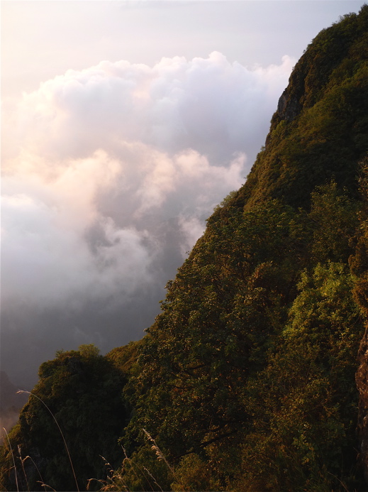 emei77