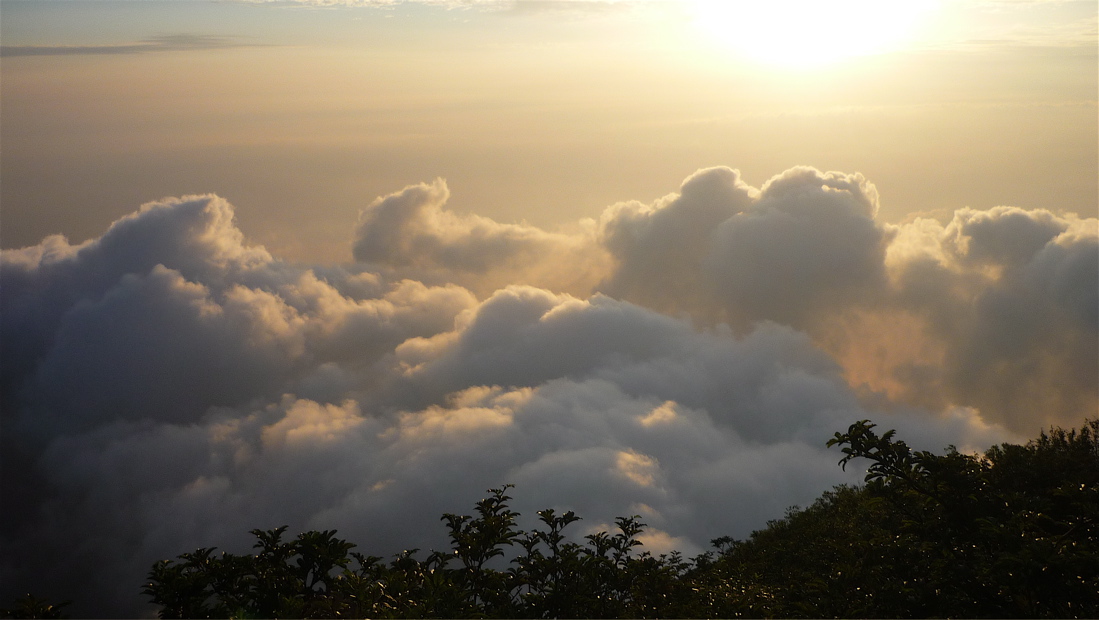 emei82
