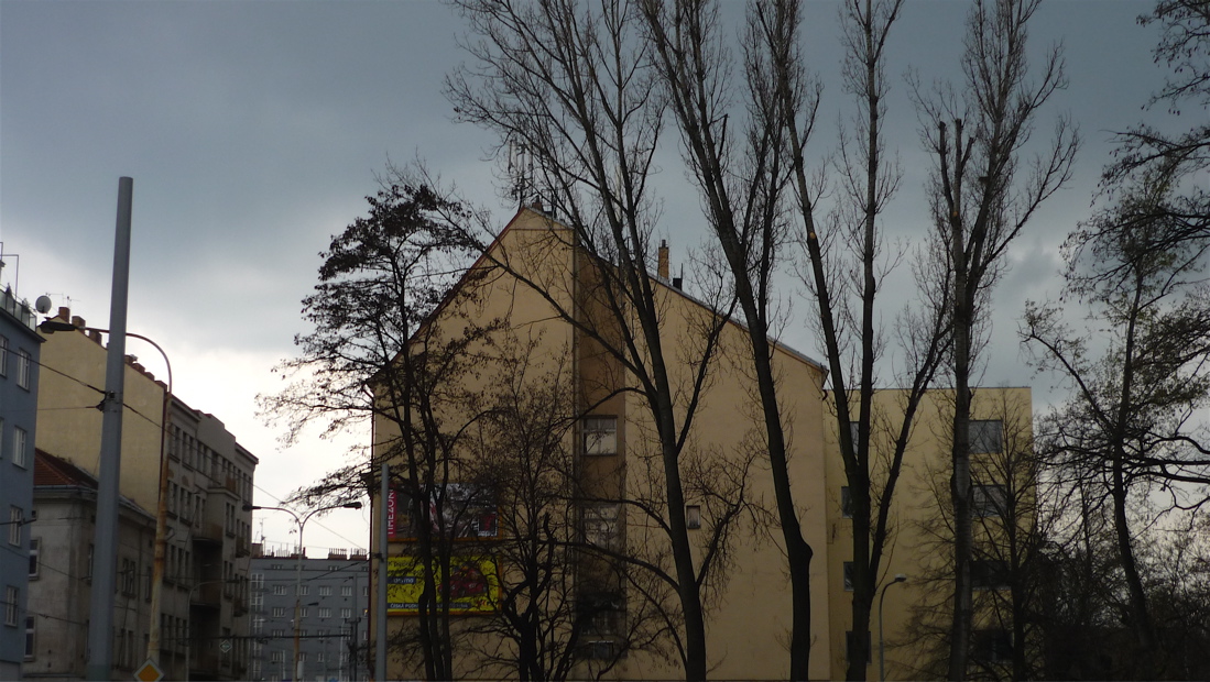 liben86