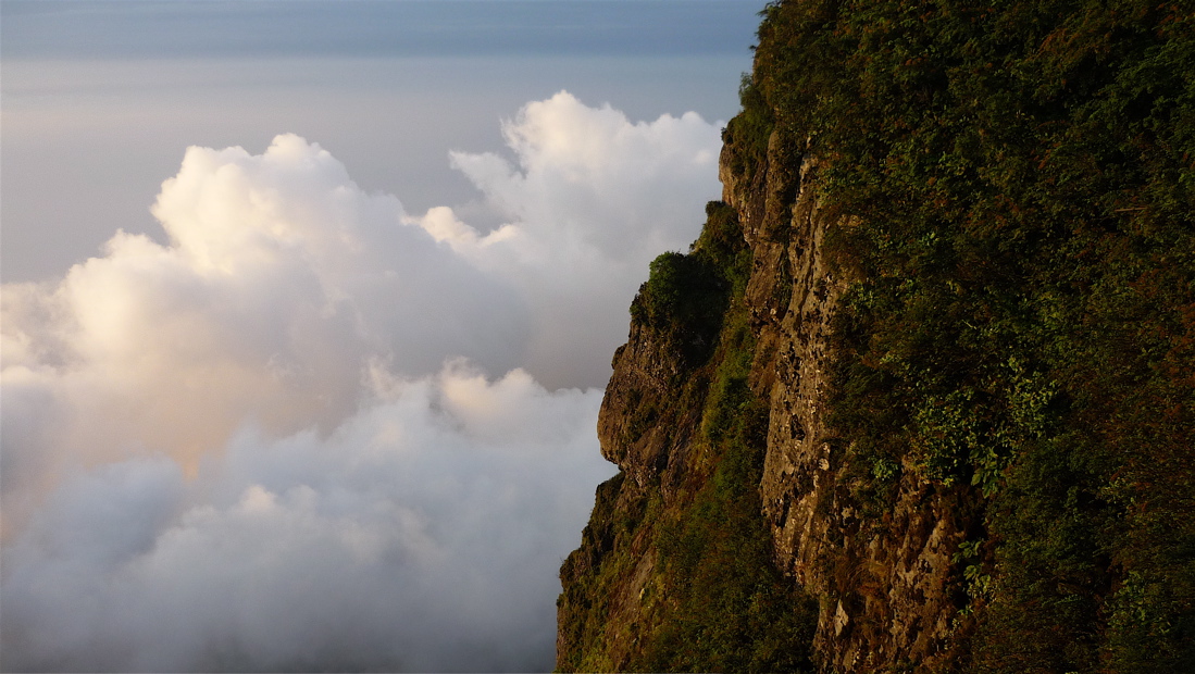 emei83