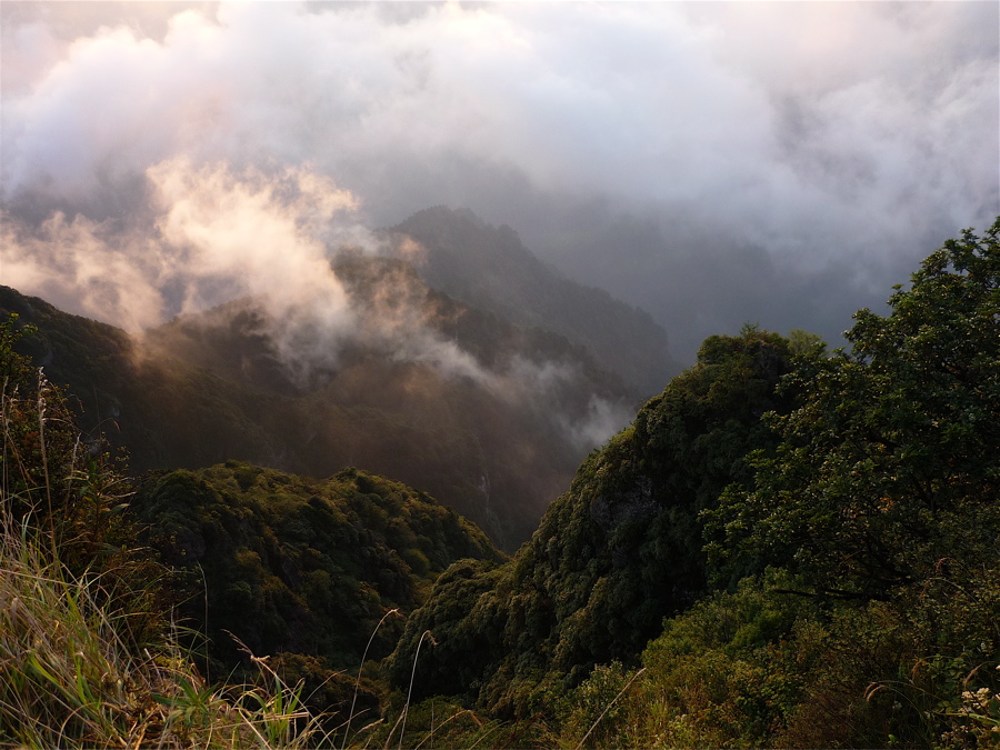 emei79