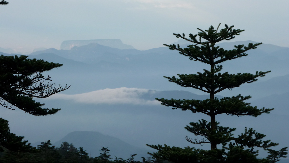 emei86