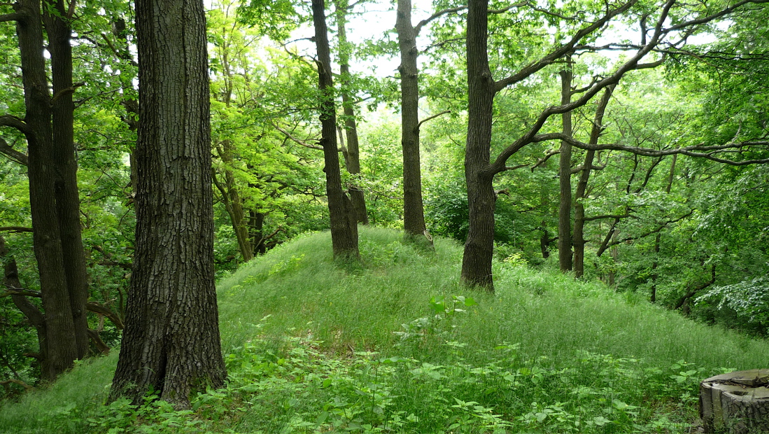 Po německu se zde říká Brandberg.