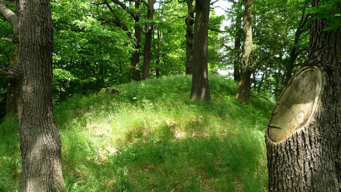 Přesto zde úplně nahoře občas někdo ušmikne větev nebo rovnou strom.