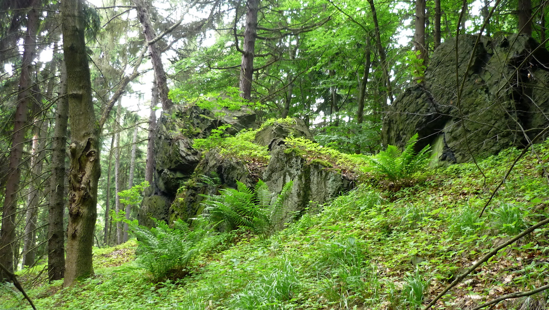 Skalka pod Rýdečským vrchem.