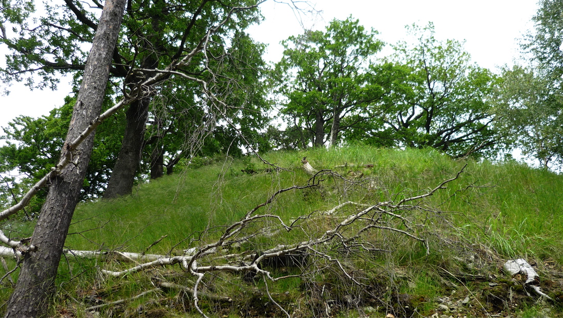 Stoupání na Špičák, neboli Spitzberg.