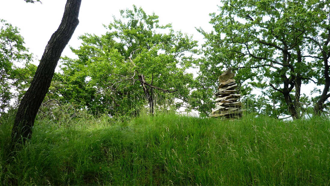 Špičák - konečně nahoře.