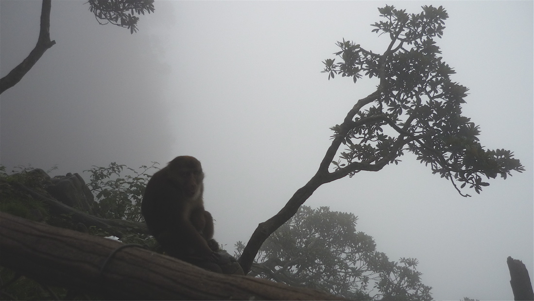 emei123