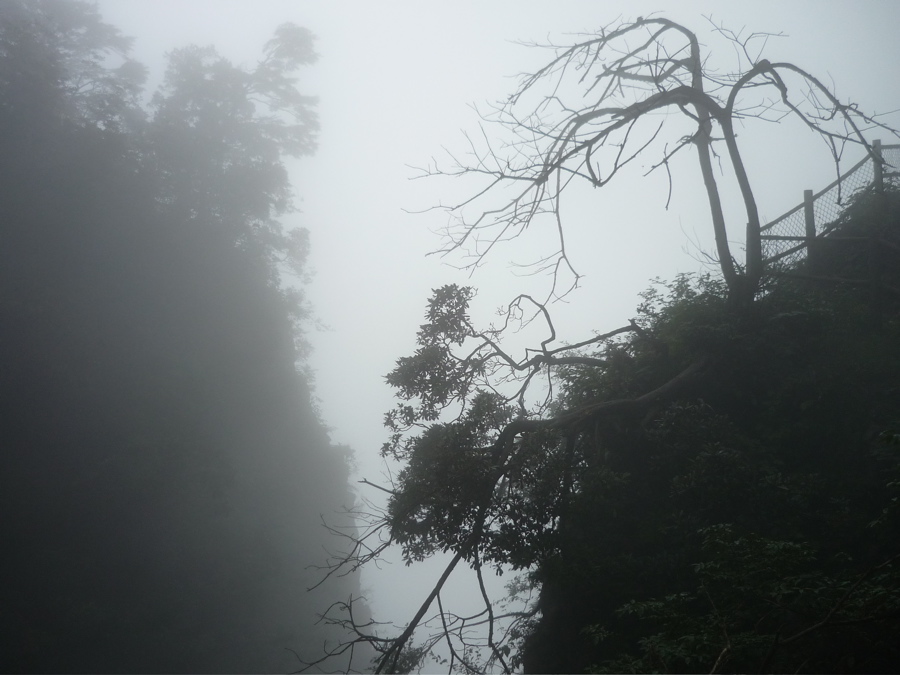 emei124