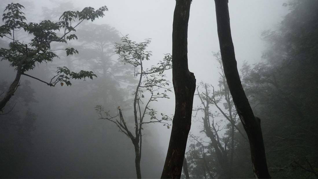 emei119