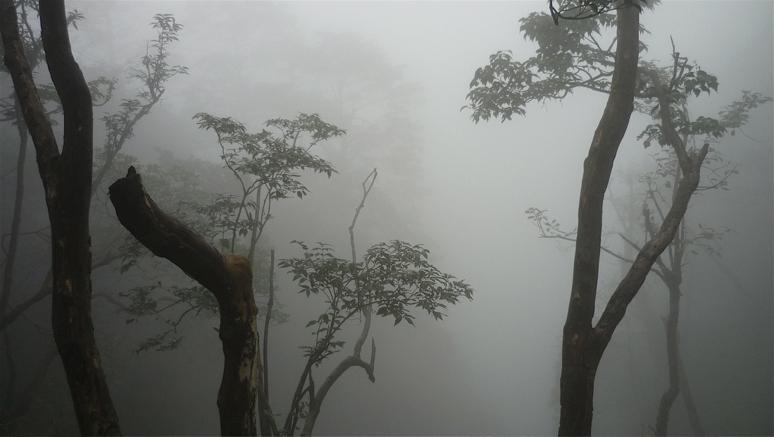 emei121