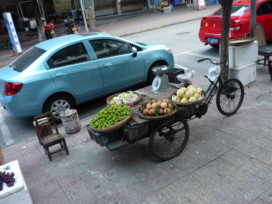 Leshan, původně Jiading, třímilionové město v jižním Sečuánu.