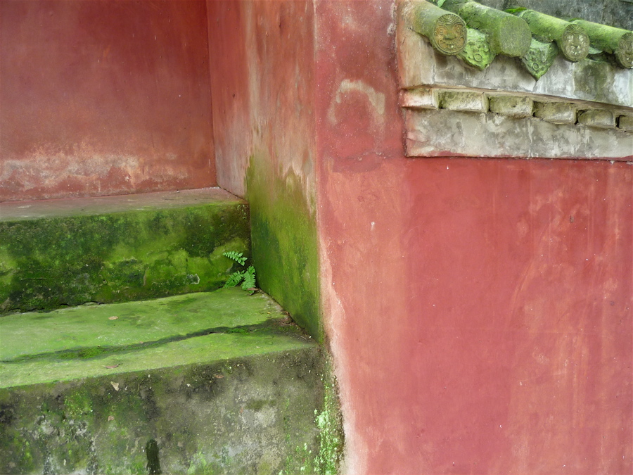 leshan111