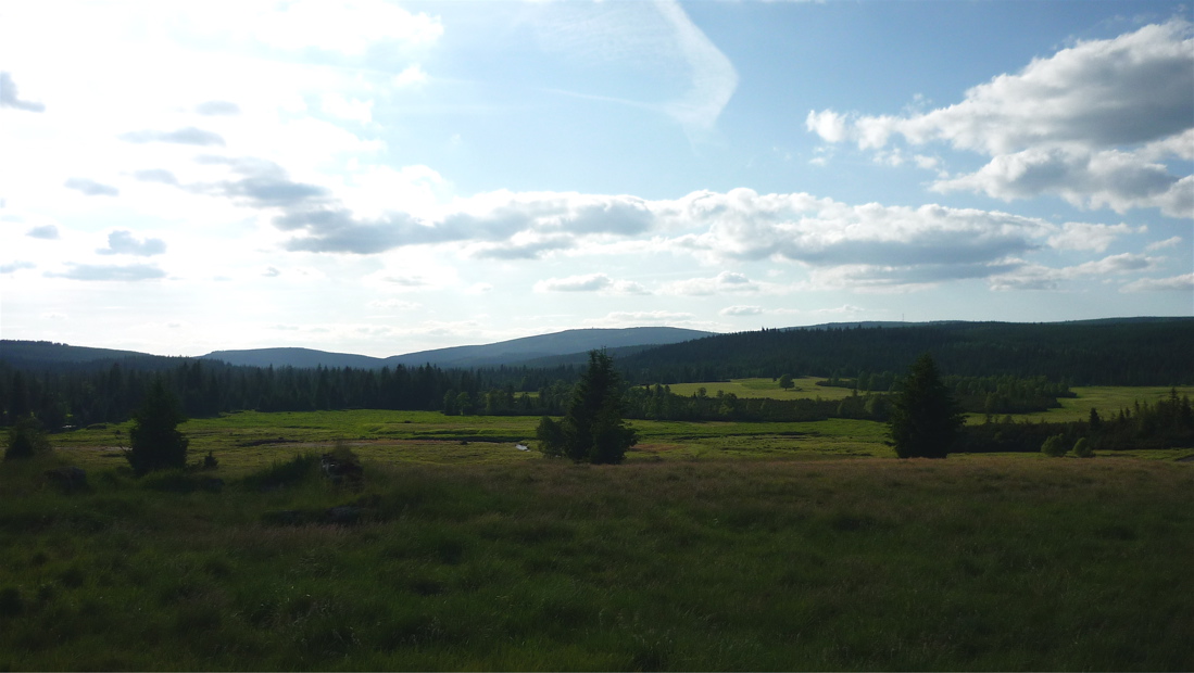 Smrk za zády. Dnešní dávka: 37 km.