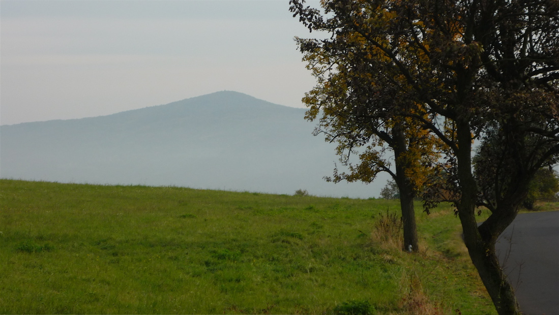 Plešivec odněkud od silnice.