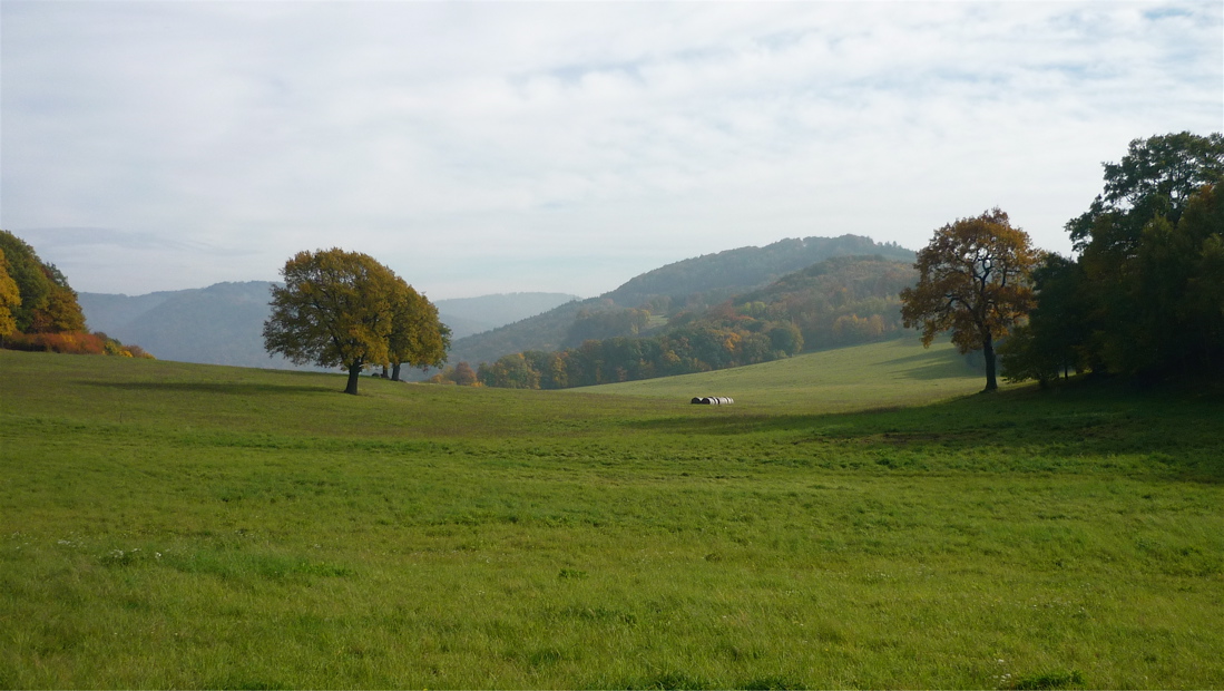 Vaňovský vrch, zalesněný bochník na levém břehu Labe.