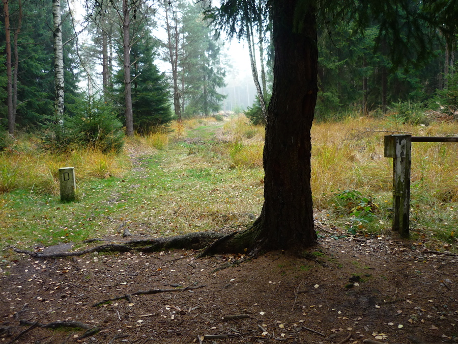 Böhmische Tor v lesích na česko-německé hranici.