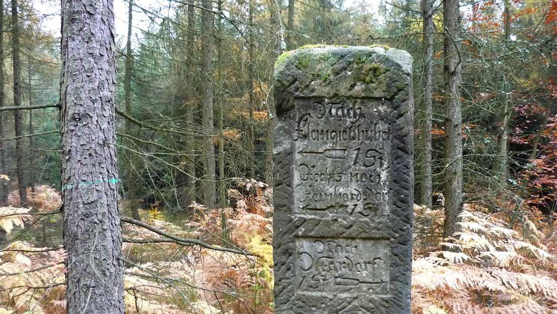 zsch11