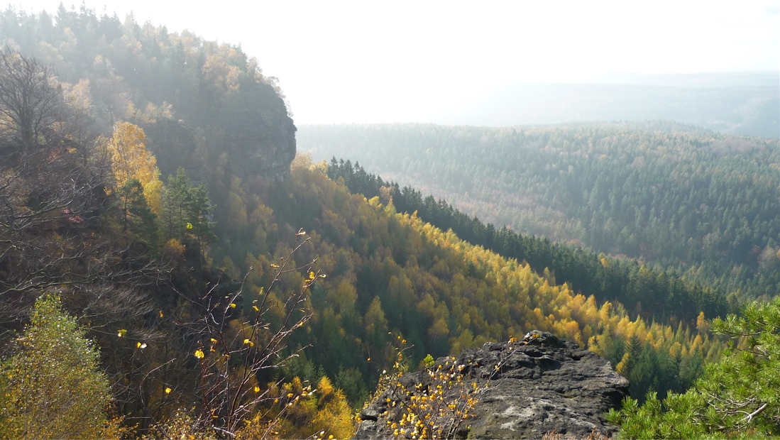Zlaté pruhy světla a podzimního listí.
