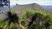 Coonyin-nirra (1175 m), jinak též Mount Mitchell, Main Range, Queensland.