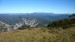 Mount Buffalo na obzoru.