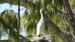 Heron Island - Volavčí ostrov.