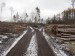 Tragický stav lesa kolem severního rozcestí pod Sedlem.